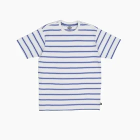 Camiseta a rayas de Dickies Skateboarding