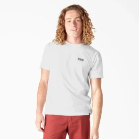 Camiseta con gráfico de drenaje de piscina de Dickies Skateboarding