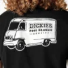 Camiseta con gráfico de drenaje de piscina de Dickies Skateboarding Camiseta con gráfico de drenaje de piscina de Dickies Skateboarding