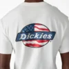 Camiseta con gráfico del logotipo Americana Camiseta con gráfico del logotipo Americana