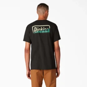 Camiseta con gráfico dividido de Dickies Skateboarding