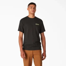 Camiseta con gráfico dividido de Dickies Skateboarding