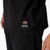 Camiseta estampada Dickies X Thrasher Camiseta estampada Dickies X Thrasher