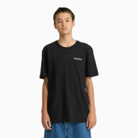 Camiseta gráfica de manga corta con escudo Americana