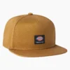 Gorra de Dickies Skateboarding Mid Pro Gorra de Dickies Skateboarding Mid Pro