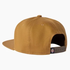 Gorra de Dickies Skateboarding Mid Pro