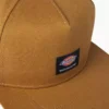 Gorra de Dickies Skateboarding Mid Pro Gorra de Dickies Skateboarding Mid Pro