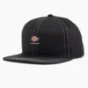 Gorra de visera plana con cierre a presión de Dickies Skateboarding Gorra de visera plana con cierre a presión de Dickies Skateboarding