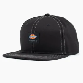 Gorra de visera plana con cierre a presión de Dickies Skateboarding