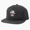 Gorra de visera plana Dickies X Lurking Class