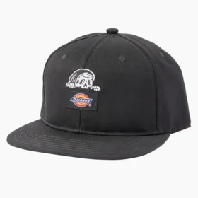 Gorra de visera plana Dickies X Lurking Class