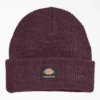 Gorro de punto con vuelta de Dickies Skateboarding para skateboarding Gorro de punto con vuelta de Dickies Skateboarding para skateboarding