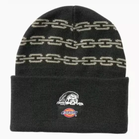 Gorro Dickies X Lurking Class