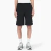 Pantalones cortos de corte holgado Grants Pass de Dickies Skateboarding, 23 cm Pantalones cortos de corte holgado Grants Pass de Dickies Skateboarding, 23 cm