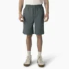 Pantalones cortos de corte holgado Grants Pass de Dickies Skateboarding, 23 cm Pantalones cortos de corte holgado Grants Pass de Dickies Skateboarding, 23 cm