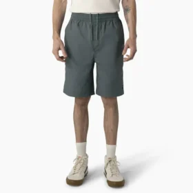 Pantalones cortos de corte holgado Grants Pass de Dickies Skateboarding, 23 cm