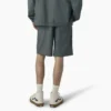 Pantalones cortos de corte holgado Grants Pass de Dickies Skateboarding, 23 cm Pantalones cortos de corte holgado Grants Pass de Dickies Skateboarding, 23 cm