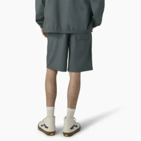 Pantalones cortos de corte holgado Grants Pass de Dickies Skateboarding, 23 cm
