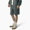 Pantalones cortos de corte holgado Grants Pass de Dickies Skateboarding, 23 cm Pantalones cortos de corte holgado Grants Pass de Dickies Skateboarding, 23 cm