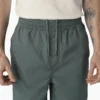 Pantalones cortos de corte holgado Grants Pass de Dickies Skateboarding, 23 cm Pantalones cortos de corte holgado Grants Pass de Dickies Skateboarding, 23 cm