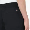 Pantalones cortos de corte holgado Grants Pass de Dickies Skateboarding, 23 cm Pantalones cortos de corte holgado Grants Pass de Dickies Skateboarding, 23 cm