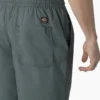 Pantalones cortos de corte holgado Grants Pass de Dickies Skateboarding, 23 cm Pantalones cortos de corte holgado Grants Pass de Dickies Skateboarding, 23 cm