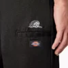Pantalones de corte regular con Double Knee Dickies X Lurking Class Pantalones de corte regular con Double Knee Dickies X Lurking Class