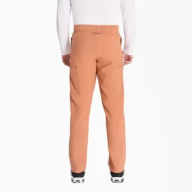 Pantalones de trabajo cargo Eds Nxt para hombre