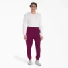 Pantalones jogger de trabajo Eds Nxt para hombre