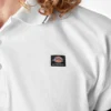 Polo de rugby Dickies Skateboarding