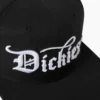 Sombrero de visera plana bordado