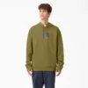 Sudadera con capucha de forro polar Dickies Skateboarding Sudadera con capucha de forro polar Dickies Skateboarding
