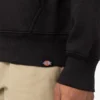 Sudadera con capucha y logotipo de Union Springs Sudadera con capucha y logotipo de Union Springs