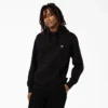 Sudadera con capucha y logotipo en el pecho de Dickies Skateboarding