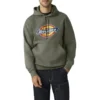 Sudadera con capucha y logotipo repelente al agua