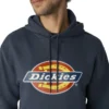 Sudadera con capucha y logotipo repelente al agua