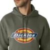 Sudadera con capucha y logotipo repelente al agua