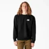 Sudadera con gráfico de desagüe de piscina de Dickies Skateboarding
