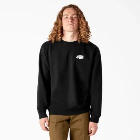Sudadera con gráfico de desagüe de piscina de Dickies Skateboarding