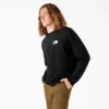 Sudadera con gráfico de desagüe de piscina de Dickies Skateboarding