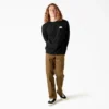 Sudadera con gráfico de desagüe de piscina de Dickies Skateboarding