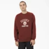 Sudadera Oxford Graphic Sudadera Oxford Graphic