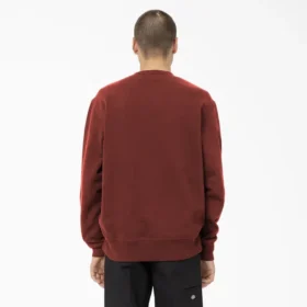 Sudadera Oxford Graphic